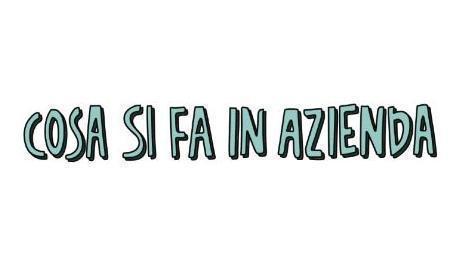 COSA SI FA IN AZIENDA <b>
Progetto per le scuole superiori alla scoperta delle funzioni aziendali